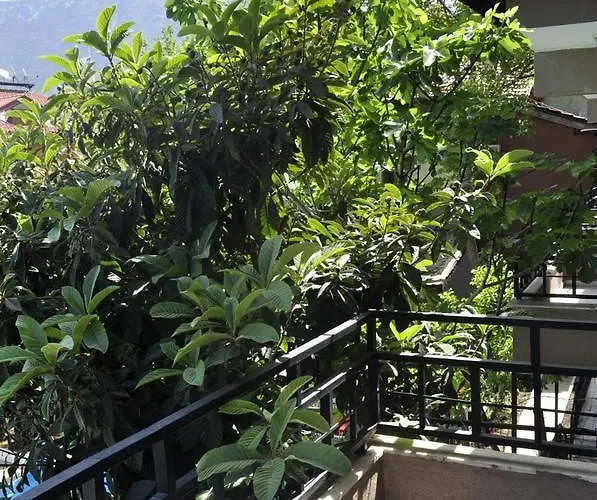 Bed & Breakfast New St. Nicholas Garden Ölüdeniz