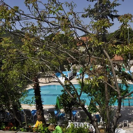 New St. Nicholas Garden