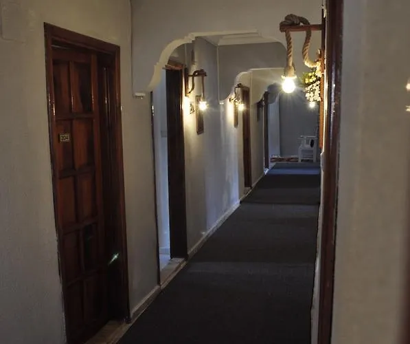 New St. Nicholas Garden